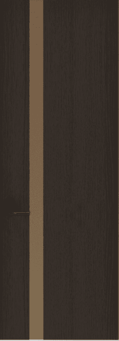 Sophisticated Modern Door 6