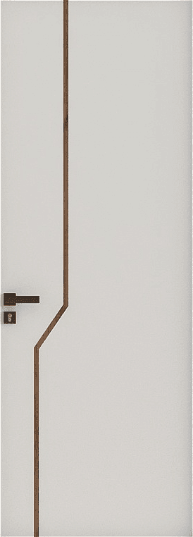 Stylish Modern Door 8