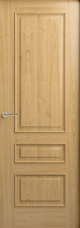 Elegant Raised Door 9