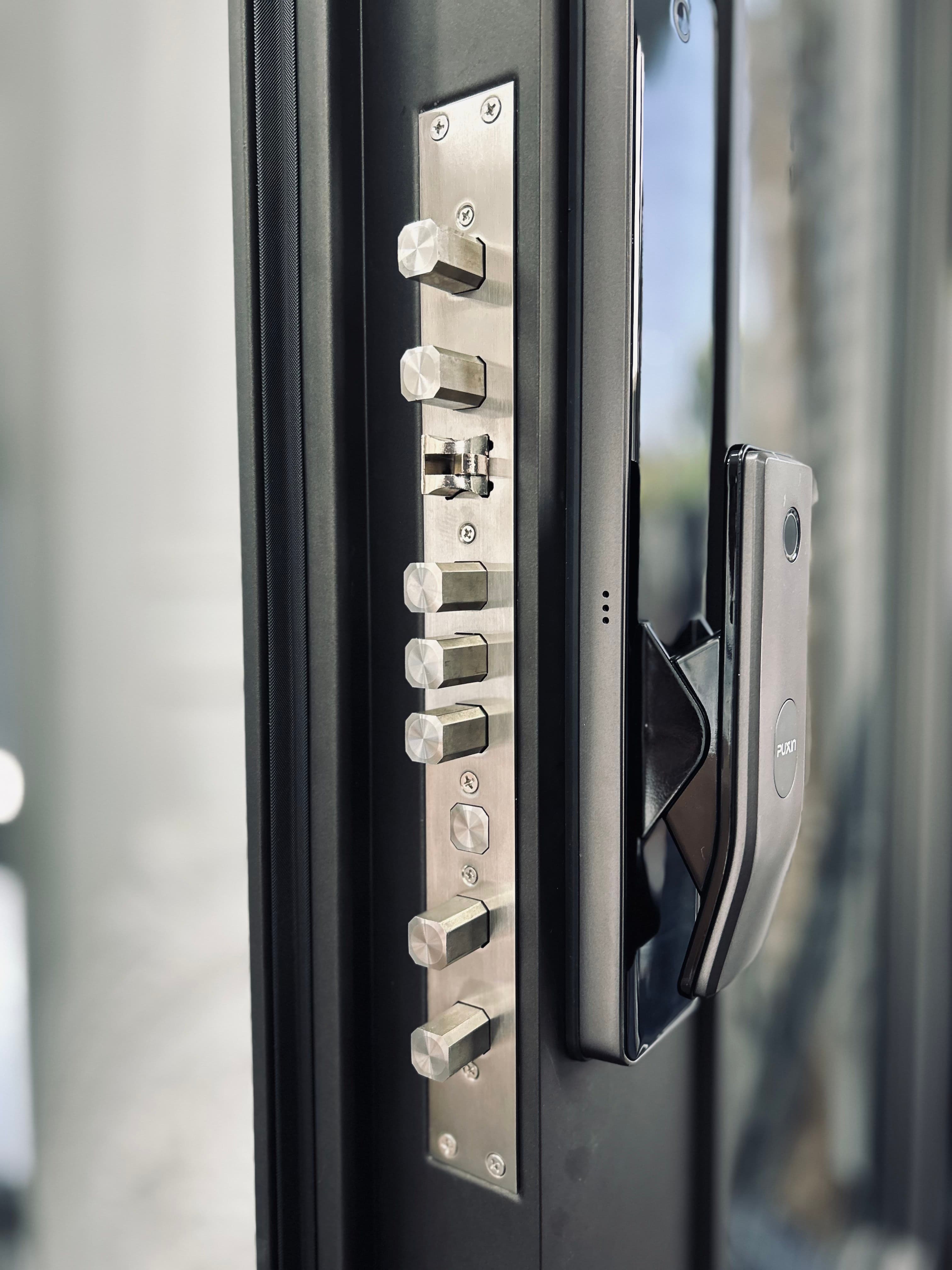 Elegant Iron Door 12