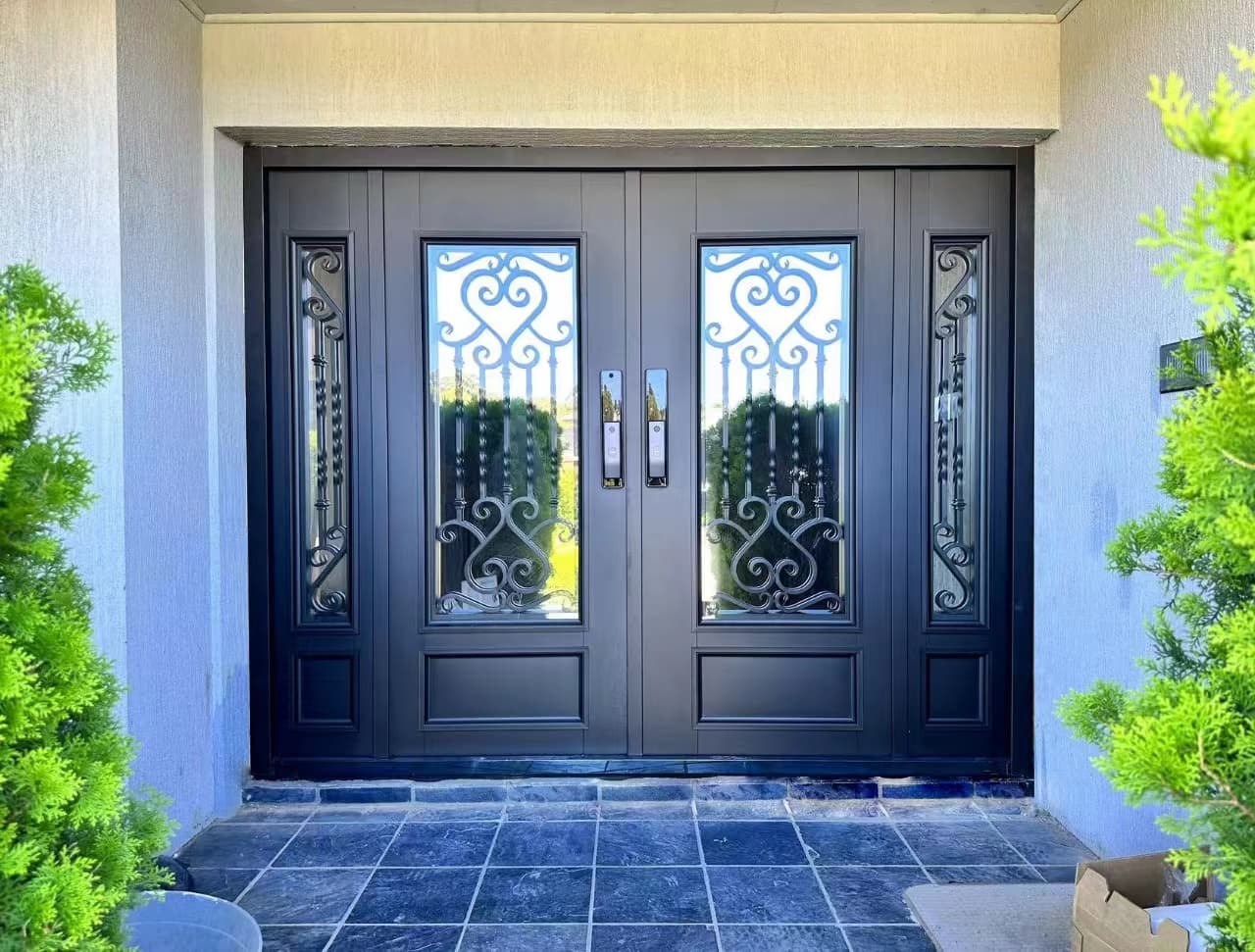 Sophisticated Iron Door 5